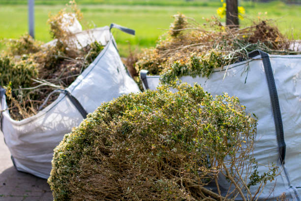 Trash Removal Near Me in Belvedere, CA